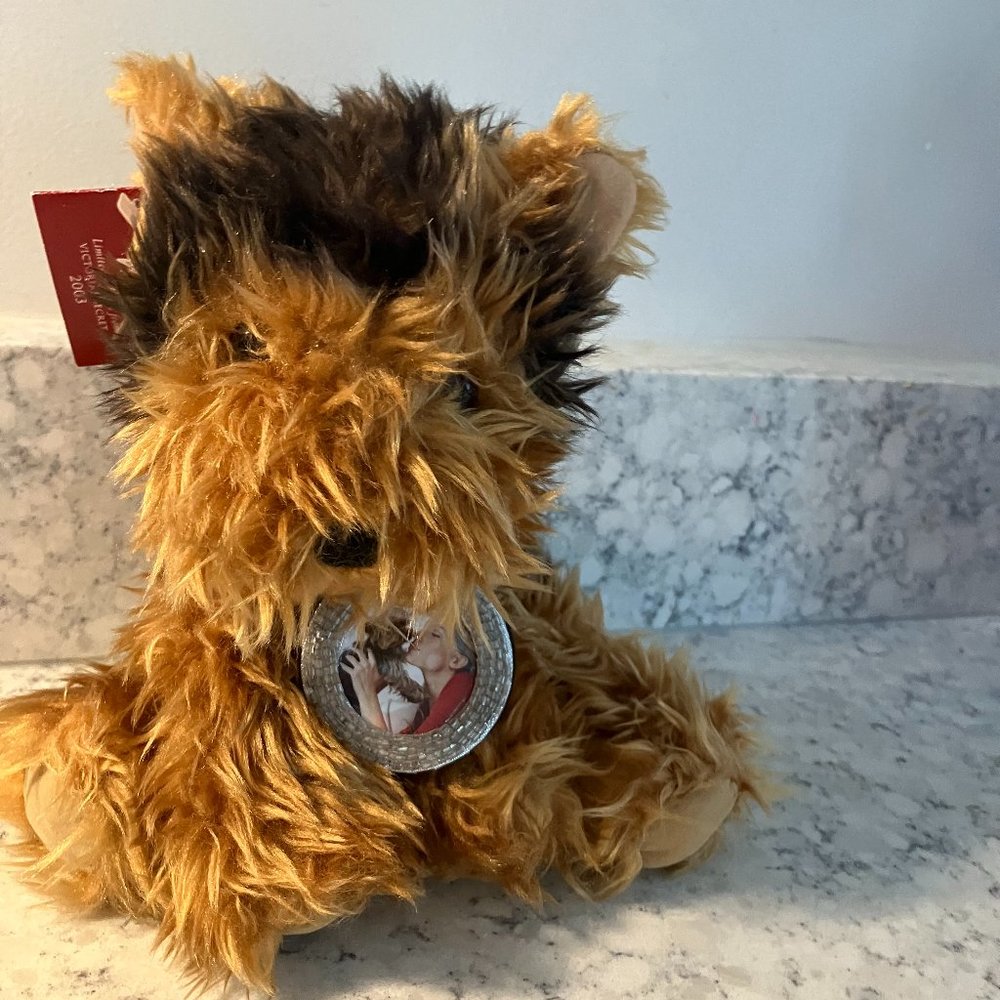 VICTORIALS SECRET DOG